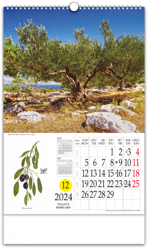 Kalendar ljekovito bilje